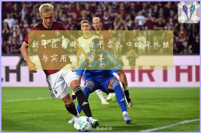 新手在易游体育平台入口的踩坑经历与实用技巧分享