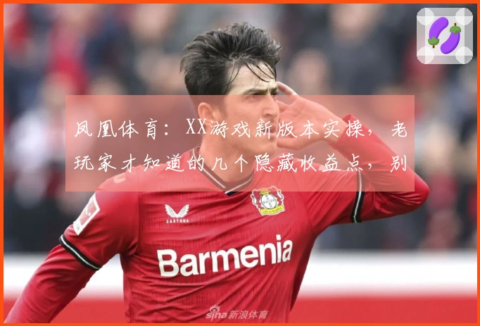 凤凰体育：XX游戏新版本实操，老玩家才知道的几个隐藏收益点，别再白费力气了